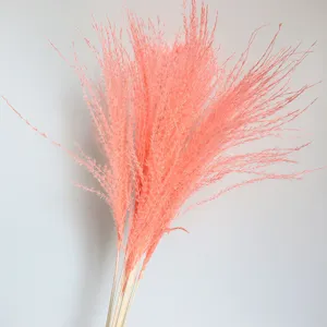 Pink dried pampas grass fluff decor wedding floral detail close up natural reed plant