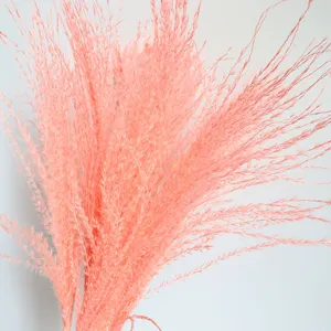 Detailed view of fluffy pink dried pampas grass, perfect for elegant home and wedding decor.