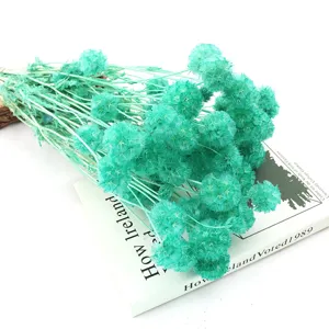 Dettaglio fiori di scabiosa essiccati turchese, decoro botanico naturale per composizioni.