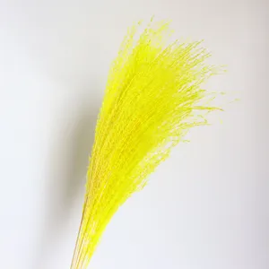 Yellow dried pampas grass detail, fluffy reed floral branch for home decor and wedding arrangement.