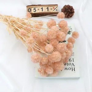 Fiore Secco Preservato Naturale Pino Insetto Frutto Mulino a Vento per Aromaterapia Copertura in Vetro Artigianato Decorazioni per la Casa Composizione Floreale