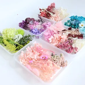 DIY-pakket met geconserveerde droogbloemen, kleurrijke hortensia's en konijnestaartjes.
