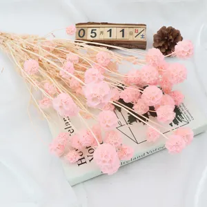 Mazzo di fiori di scabiosa essiccati rosa composizione floreale naturale per decorazione.