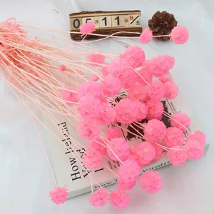 Bouquet di fiori secchi rosa amaranto globo per decorazione domestica vaso floreale