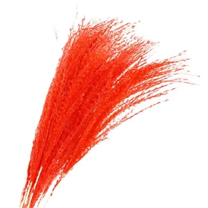 Red dried pampas grass fluffy reed bouquet for home wedding decor floral arrangement