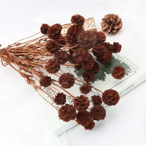 Primo piano dettagliato di bouquet di fiori secchi marroni, ideale per decorazioni floreali.