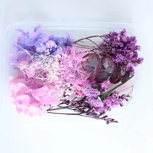 Kleurrijke gedroogde bloemen geconserveerde bloem DIY materiaalpakket voor ambacht en decor.