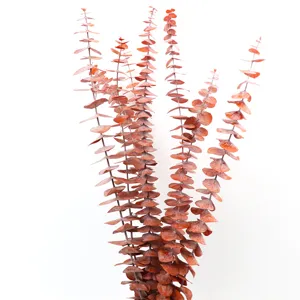 Natural dried eucalyptus branches red copper leaves for DIY wedding home floral decoration