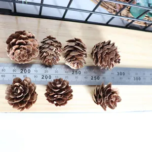 Natural pine cones detail view, perfect for DIY floral crafts and Christmas tree decor props.