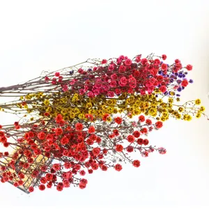 Colorful dried flowers bouquet natural everlasting floral home decor arrangements floral supplies