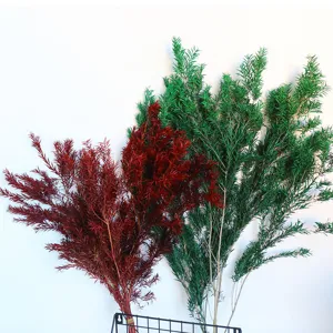 Preserved Melaleuca branches green and red dried floral material for wedding festival home decor.