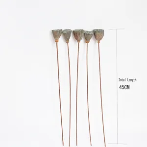 Natural dried lotus seed pods on long wire stems, perfect floral arranging material and decor.
