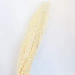 Dried flower botanical decor plant material for floral arrangement and photography props.