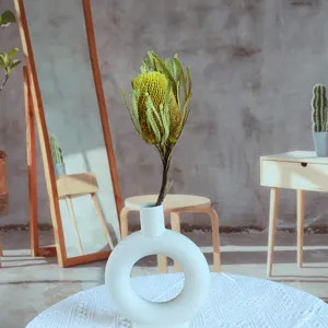 Banksia dried flower detail shot in a white ceramic ring vase, perfect for home decor display.