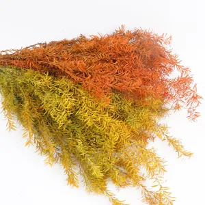 Preserved melaleuca tea tree branches detail view, vibrant autumn colors for decor.