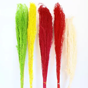 Dyed artemisia dried flowers for floral arrangement and home decor photography props.