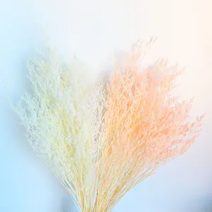 Dried gypsophila flower bouquet home decor photography prop natural plant floral arrangement