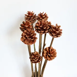 Natural pinecones on stems for DIY floral arrangement, Christmas tree decor and photography props.