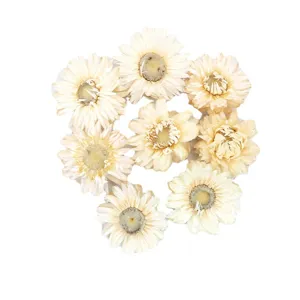 Natural dried strawflower heads white daisy flowers for DIY craft floral decoration home decor