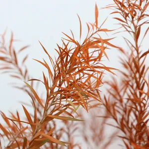 Preserved melaleuca plant detail, natural orange foliage for wedding and festival decoration.