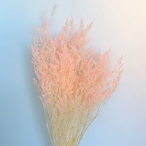 Preserved dried statice flower bouquet detail, ideal for home decor and photography props.