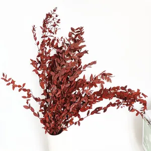Preserved small-leaf eucalyptus dried flower bouquet, Nordic style home decor floral material.