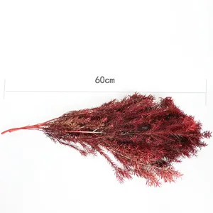 Detailed view of red preserved Melaleuca plant material, natural dried foliage for decor.