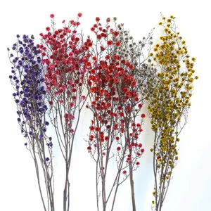 Natural Preserved Dried Flowers Bunch Fluffy Ball Floral Home Decor Bouquet Arrangement