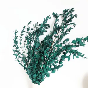 Preserved fine-leaf eucalyptus bouquet, natural Nordic home decor dried botanical flowers.
