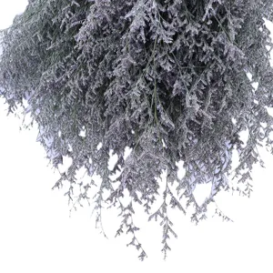 Mazzo di fiori secchi statice viola per decorazioni casa e bellissimi oggetti di foto.