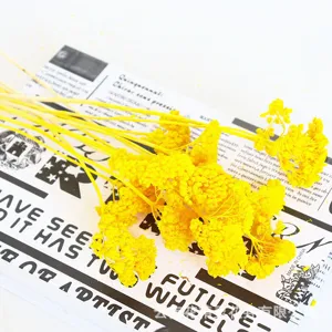 Yellow dried flowers immortal daisy bunch for home decor photography props and aromatherapy glass covers