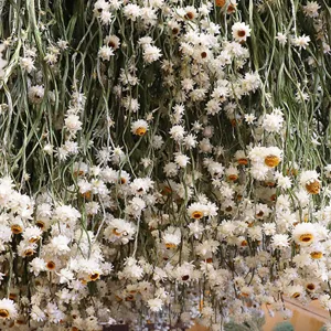 Nordic cascading white dried flower bouquet, perfect for elegant home decor and photography props.