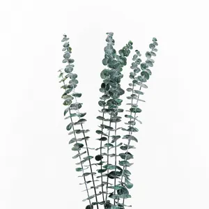 Preserved eucalyptus branches dried leaves natural greenery stems for home wedding DIY floral decor