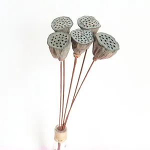 Natural Dried Lotus Pods With Stem Dried Flower Bouquet Floral Arrangement Material For Home Decor Crafting