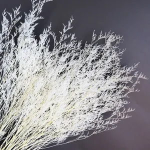 White bleached statice dried flowers natural preserved floral decor for home photography.