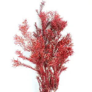 Red preserved Melaleuca flower branches natural dried foliage for wedding floral decor.