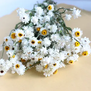 Nordic style natural dried flower bouquet white daisy home decoration photography props
