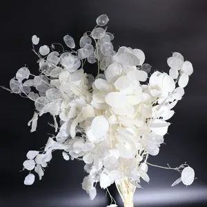 Dried silver dollar flowers white lunaria bulk natural plant branches for home wedding decor props
