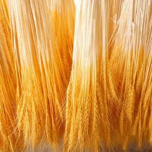 Dried wheat ears bouquet natural barley for home decor opening ceremony floral arrangement.