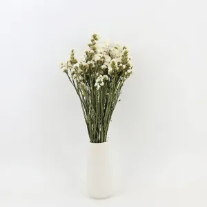 Natural Dried Forget-Me-Not Flowers Bouquet Real Dried Flower Arrangement For Home Decor Valentine's Day Wedding Party Gift