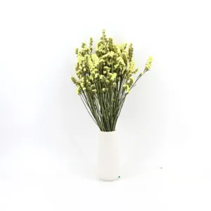 Natural dried statice flowers bouquet with white ceramic vase for home decor and gifts.