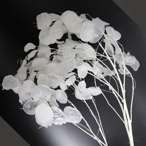 Natural preserved silver dollar dried flower branches for home decor and wedding arrangement props.