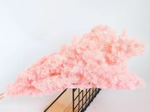 Pink preserved asparagus fern flowers for DIY craft gift box and glass cover floral decor.