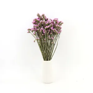 Natural dried statice flower bouquet with white ceramic vase for home decor and gifts