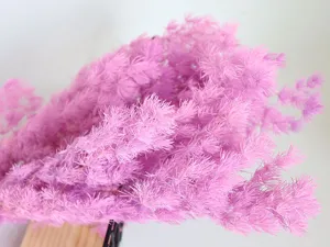 Detailed close-up view of pink preserved asparagus fern flower branch for DIY floral craft.