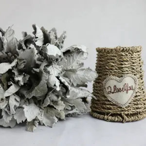 Dried silver leaf chrysanthemum bouquet for wedding floral arrangement and box decor detail shot.