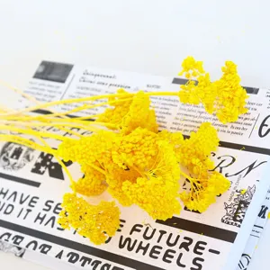 Yellow dried flowers bulk floral material for home decoration photography props and DIY crafts.