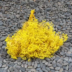 Detailed view of vibrant yellow preserved baby's breath dried flowers for home decor.