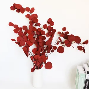 Nordic preserved round leaf eucalyptus bouquet, dried green plant for indoor home decor.