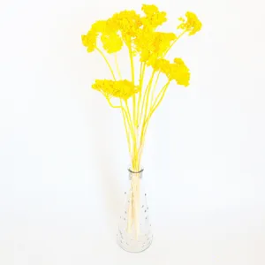 Yellow dried flowers in a clear glass vase, perfect for home decor, photography props.